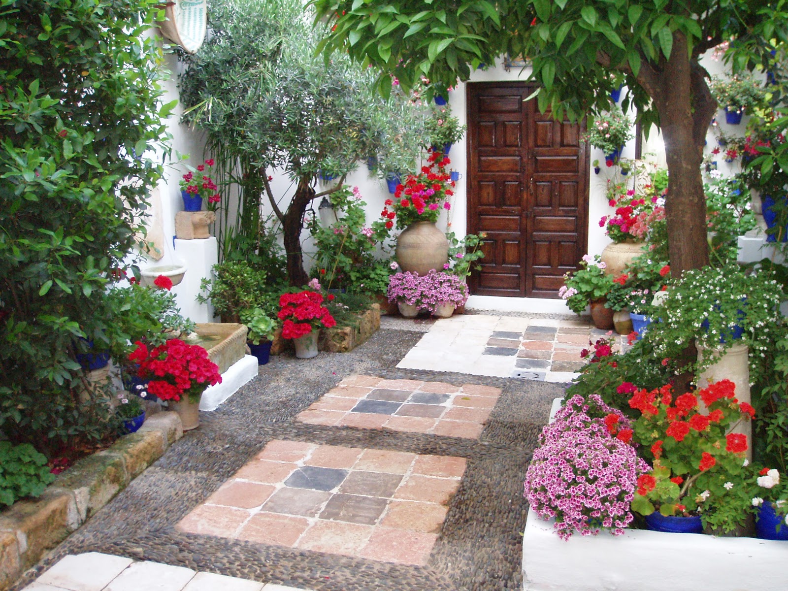 La Doctora De Las Plantas: Plantas y Feng Shui para el patio. Ideas de