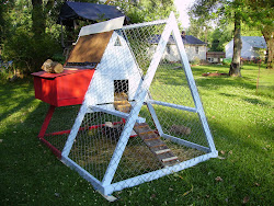 chicken tractor run chain link fencing coop homestead jones wire delux