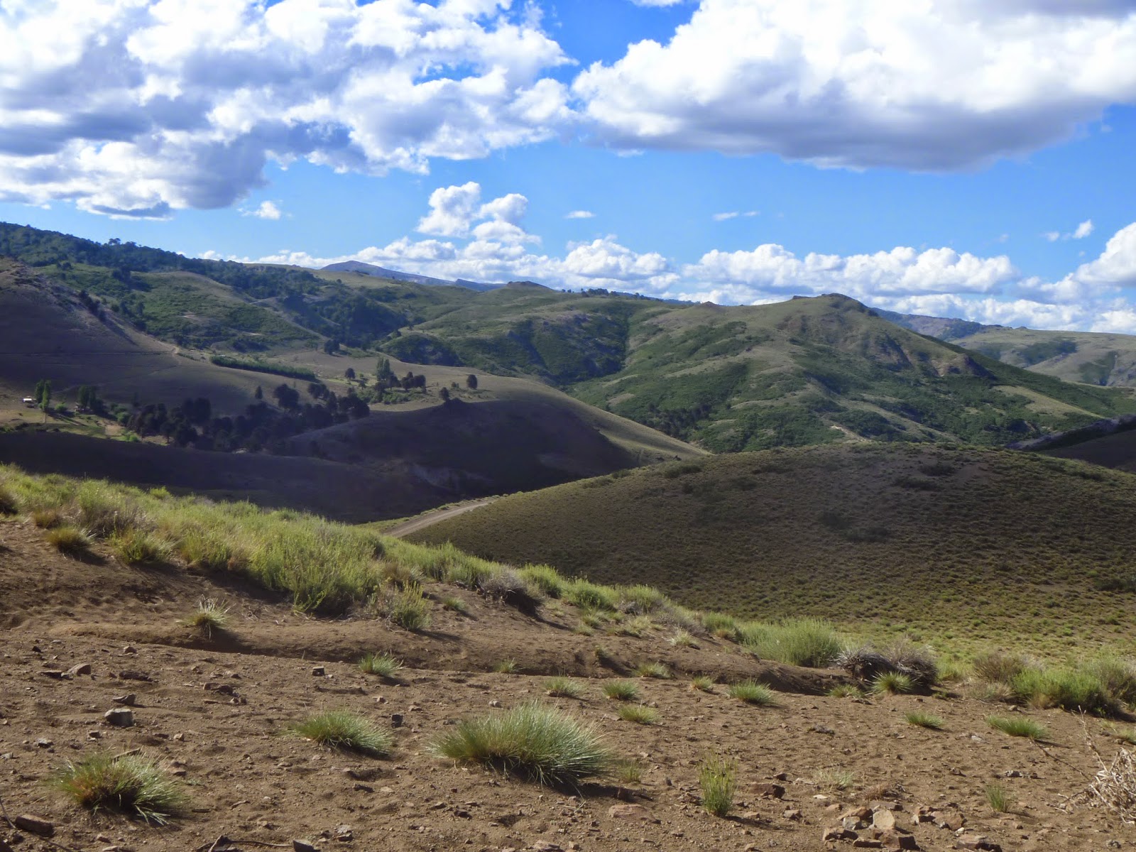 LEVANTAR LA MIRADA Junín de los Andes....