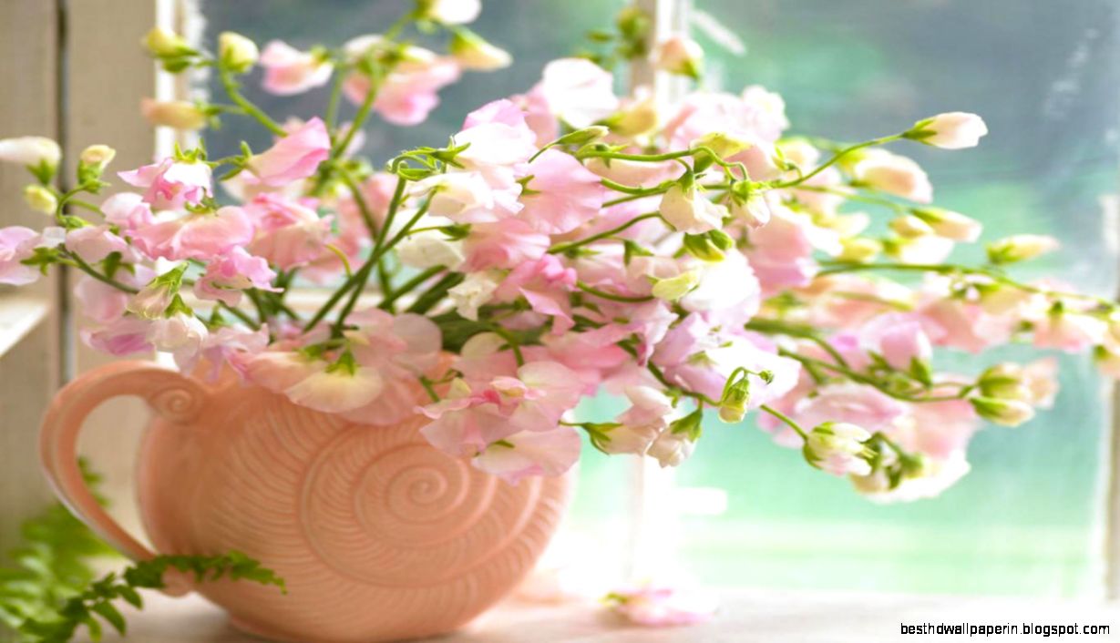 Delicate Spring Flower Wallpaper Hd   Your HD Wallpaper ID76282