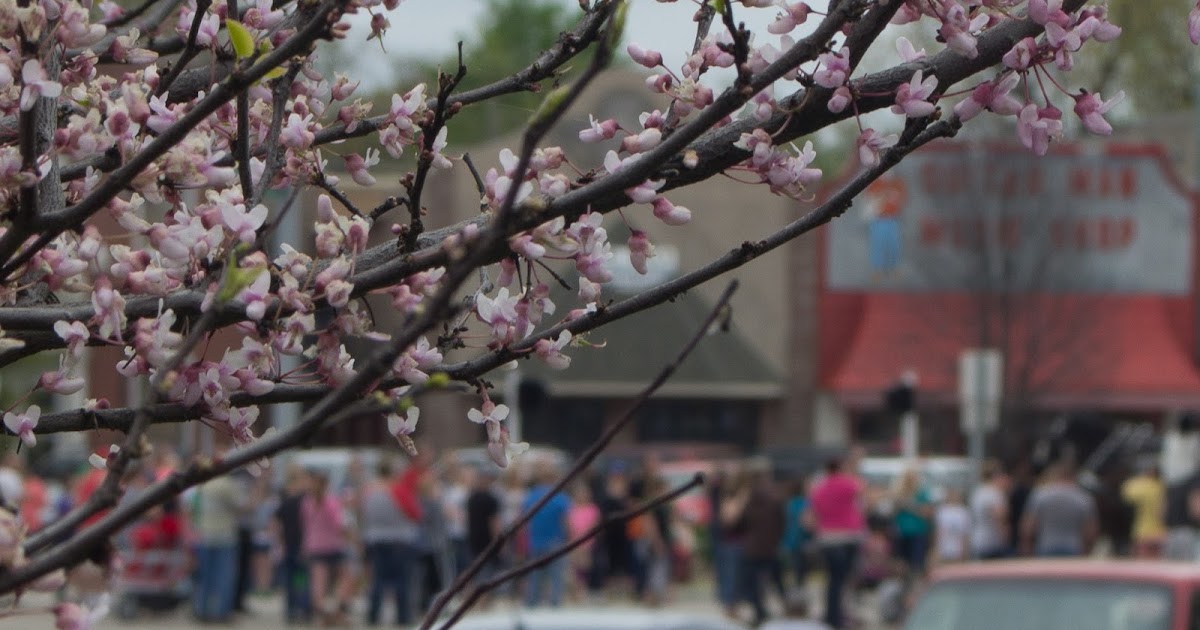 Our Eyes Upon Missouri The Dogwood Festival, An Annual Event by the