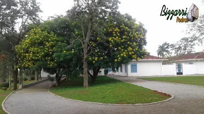 Execução da rua em entrada da sede da fazenda em Atibaia-SP. Rua de pedra com as guias de pedra folheta e o piso com pedrisco com as caixas para captação da água da chuva e no paisagismo o gramado com grama batatais e grama amendoim.