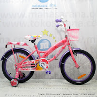Sepeda Anak Wimcycle Disney Princess 18 Inci New