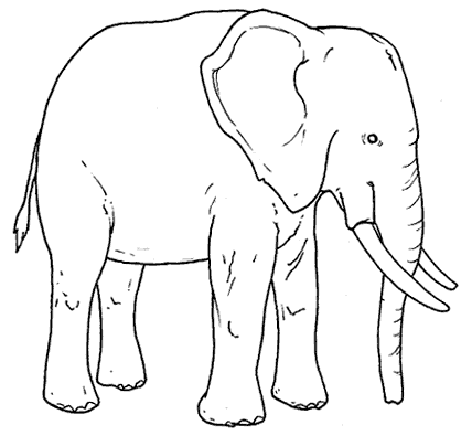Fotos De Elefantes Para Colorear Dibujos para imprimir y colorear Elefante para colorear