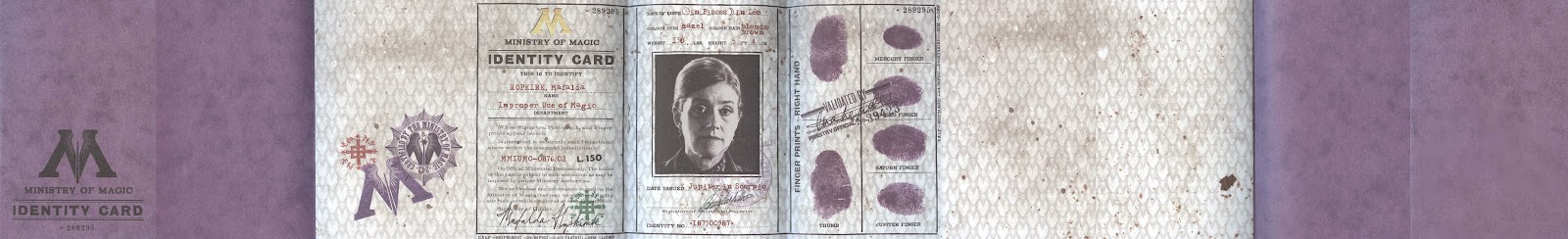 Ministry Of Magic Id Card