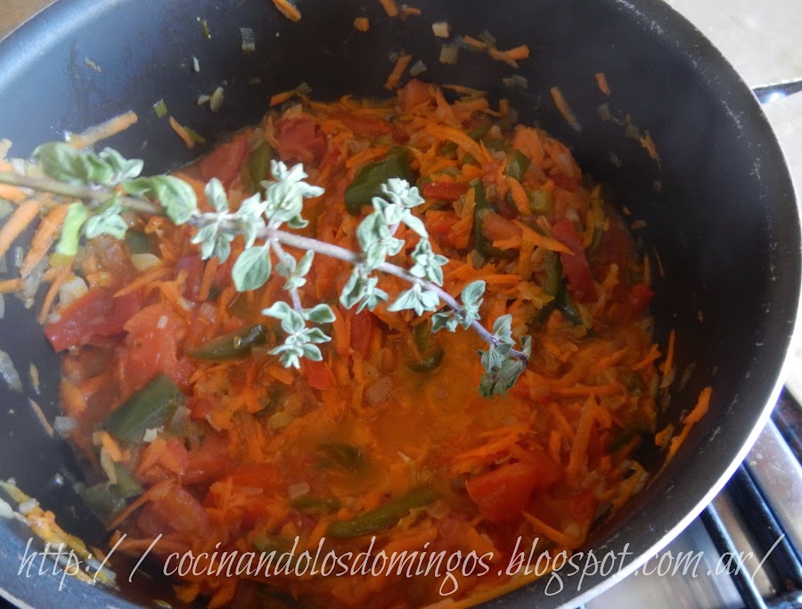 lasaña de carne y vegetales