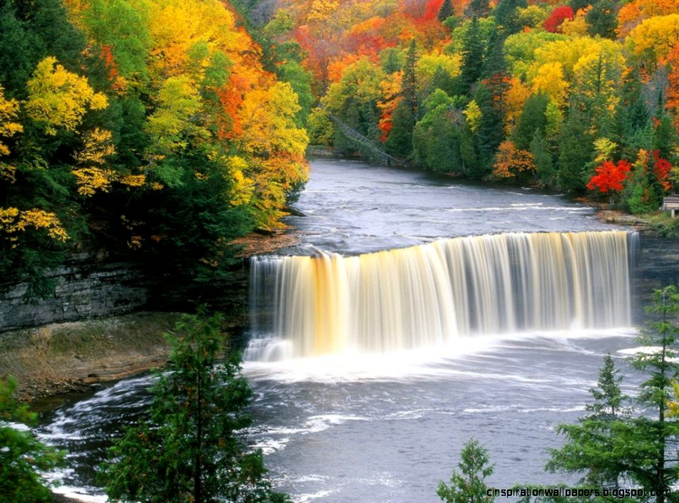 beautiful jungle waterfall
