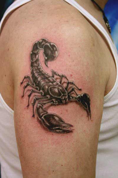 3d scorpion tattoos design on shoulder