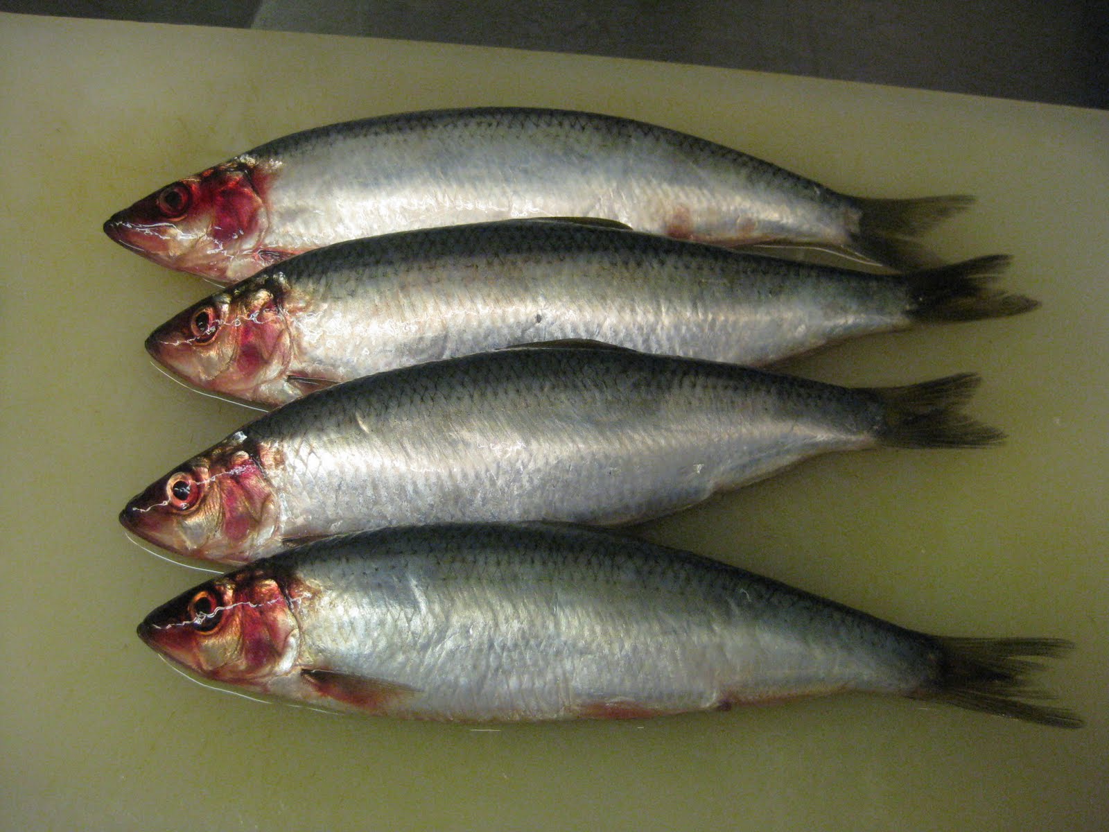 Ikan Herring Homecare24