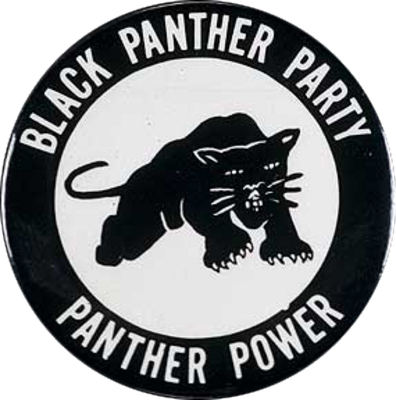 The history of black panther party and its original vision