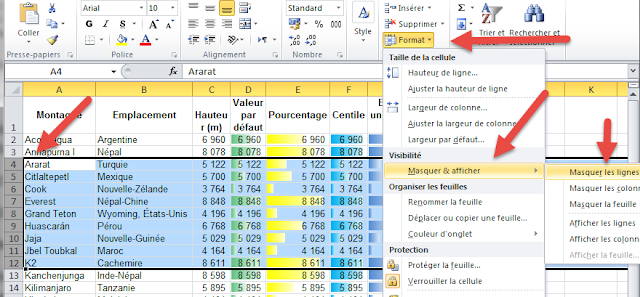 Masquer plusieurs lignes - Format