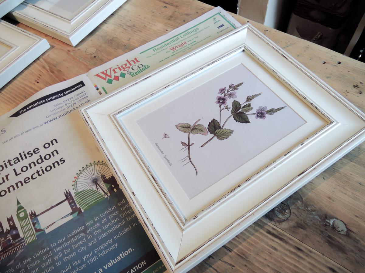 A handmade cottage Botanical print feature wall & how to hang pictures