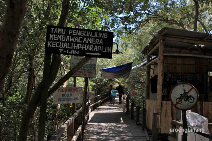 taman mangrove morosari demak