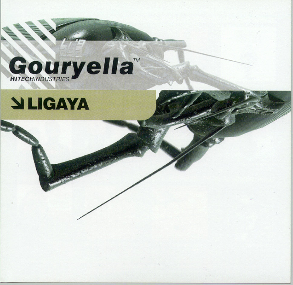 Gouryella%2B-%2BLigaya%2B%252528Alex%2BDubbing%2B2011%2BRemix%252529.jpg