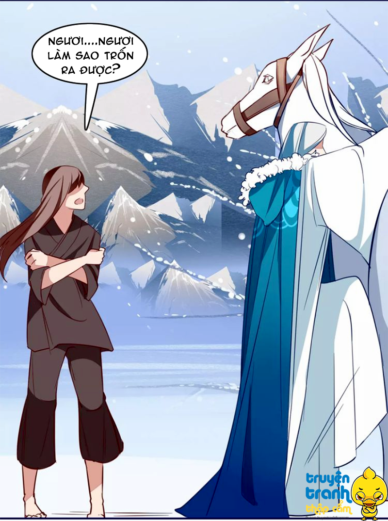 Cẩm Lý Quy - Chương 17 - Trang 24