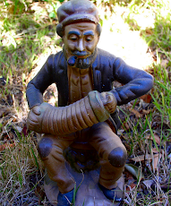 Tasmanian Gnome