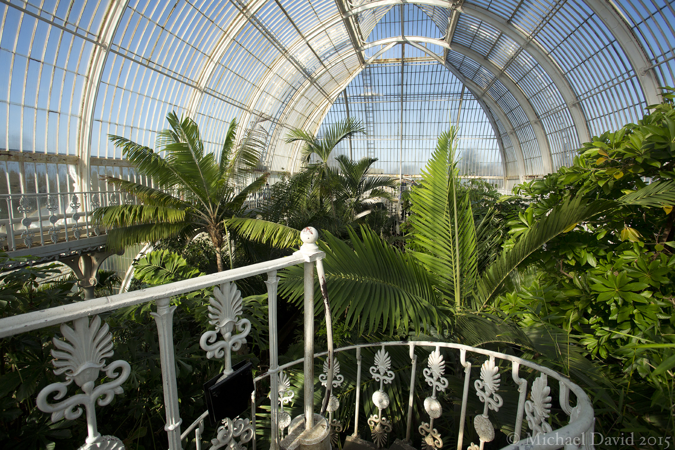 RW PAISAGISMO DESTAQUE LÁ THE PALM HOUSE AT KEW GARDENS, LONDRES