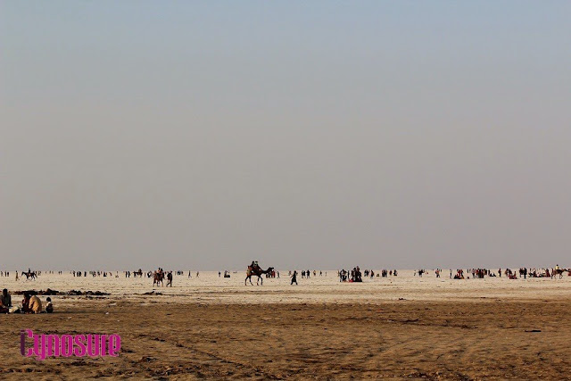What To Do During Rann Utsav, Detailed Itinerary For A Day At The White Desert
