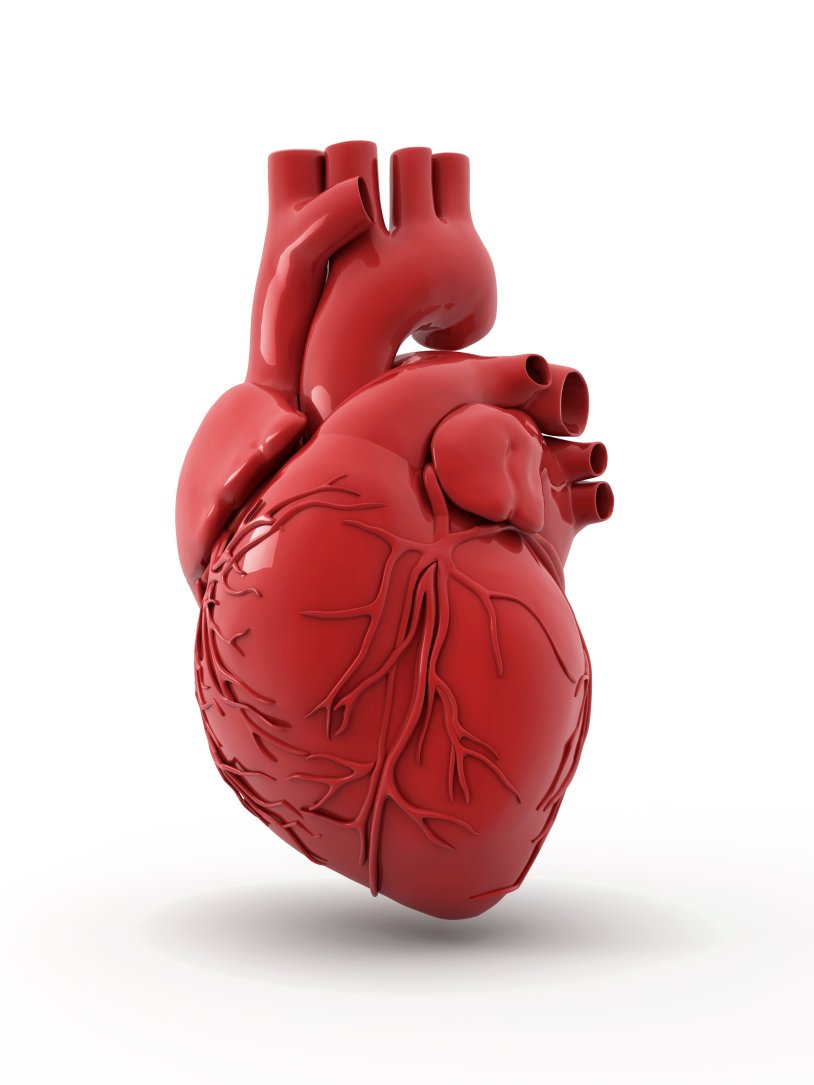 Rheumatic Heart Disease - HEALTH INFORMATION