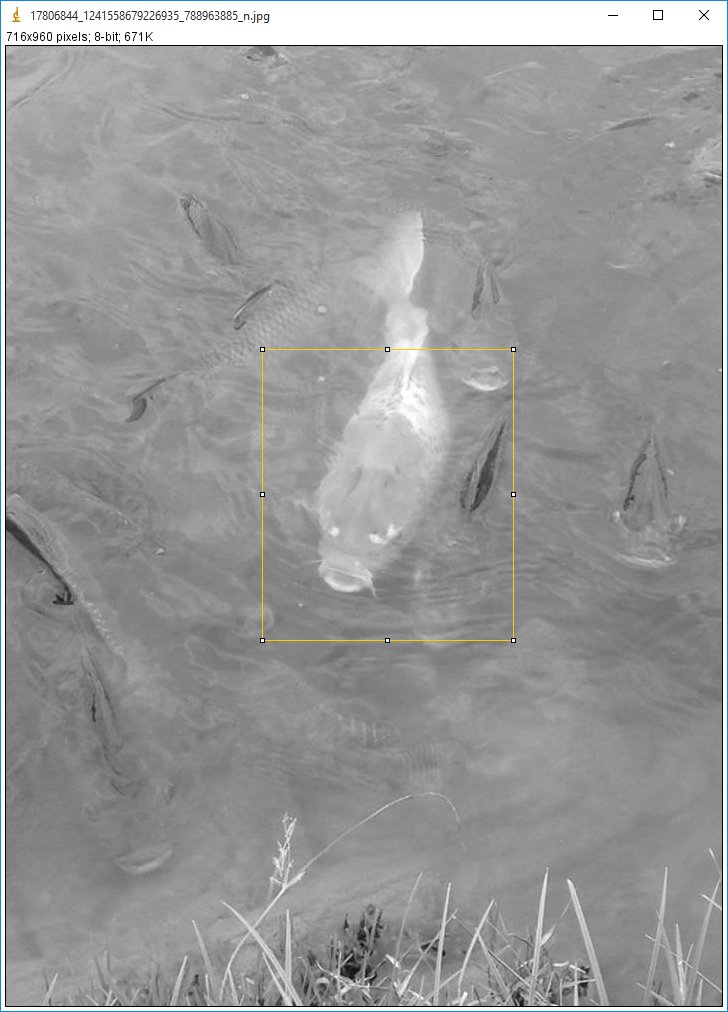 My imageJ Calibrate เครื่องสำหรับการวิเคราะห์ภาพสำหรับโปรแกรม ImageJ