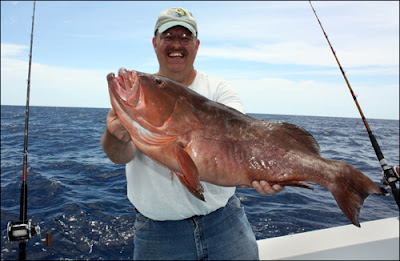 Red Grouper