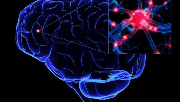 "Γροθιά" σε Αλτσχάιμερ και Πάρκινσον: Δημιουργία εγκεφαλικών κυττάρων από δερματικά κύτταρα  