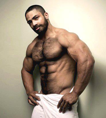 Hairy Muscle Man 88