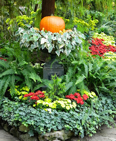 Allan Gardens Conservatory Chrysanthemum Show 2013 fall container by garden muses-a Toronto gardening blog