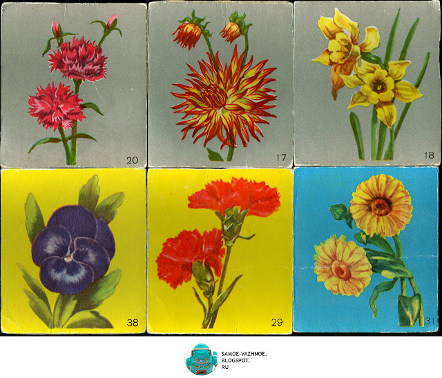 Цветут цветы игра СССР Файнштейн Минаева 1981, 1985, 1990, 1991.