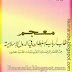 معجم ألقاب أرباب السلطان في الدولة الإسلامية من العصر الراشدي حتى بدايات القرن العشرين - قتيبة الشهابي