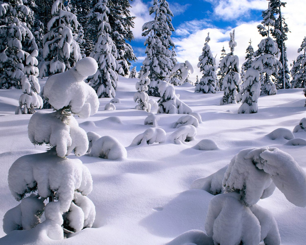 Escenas Hermosas del invierno - The Beauty of Winter - Hot Bollywood