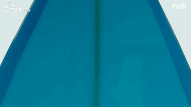 theqoo inserted image