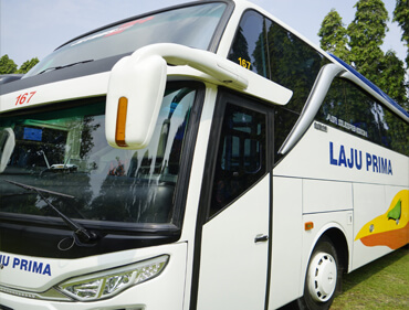 profil perusahaan bus pariwisata