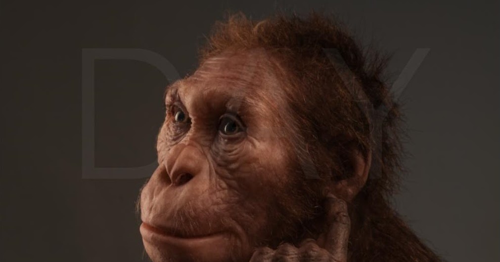 what are the early human ancestors