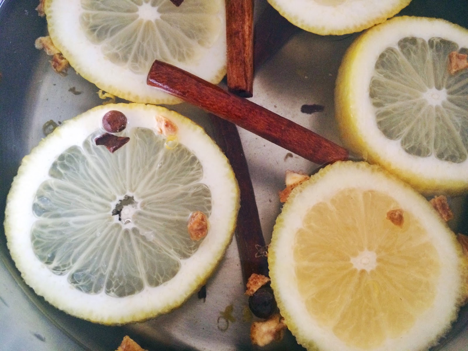 Kelsey Lemon & cinnamon stove simmer