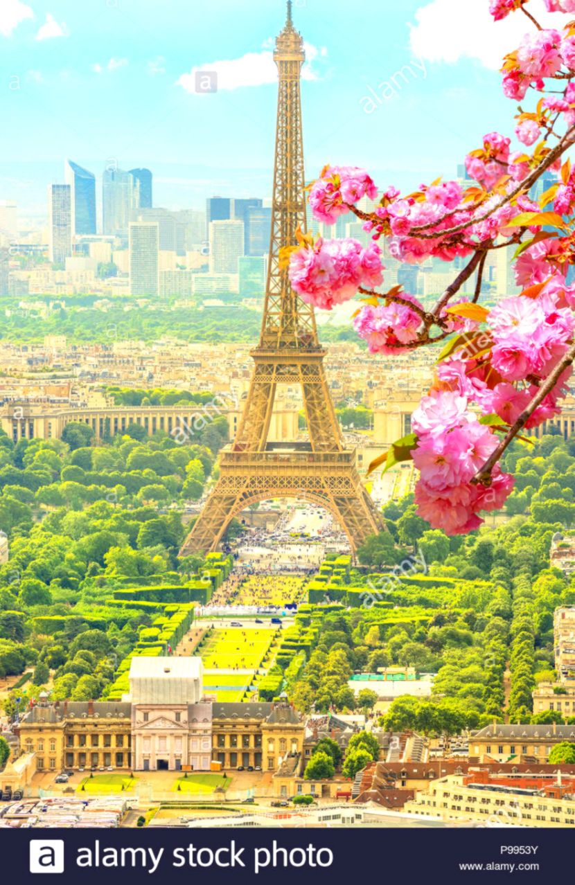 Cherry blossom branch in foreground and cityscape skyline of Paris Cherry blossom branch in foreground and cityscape skyline of Paris