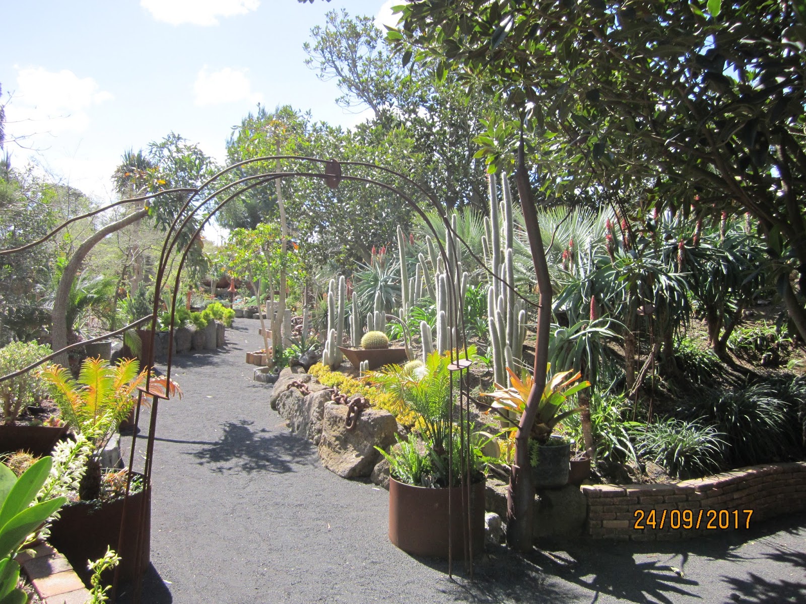 The Niche Nursery Ballarat & Melbourne