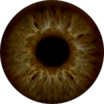 Best Eyes PNG HD Eyeball PNG Images Free Download - PickForEdit All ...