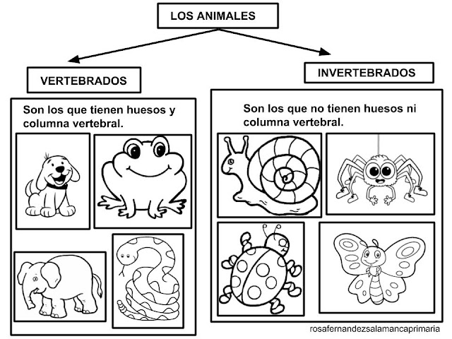 Dibujos Para Ninos De Animales Vertebrados On Log Wall