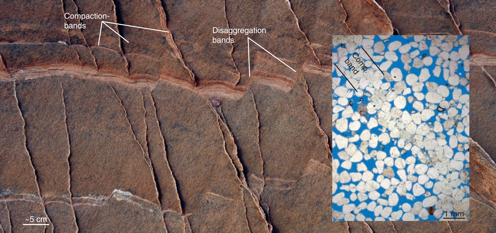 Learning Geology Deformation bands and fractures in porous rocks