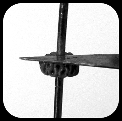 Gardens of Hecate: LI. Tutorial: How to Sculpt a Ruff