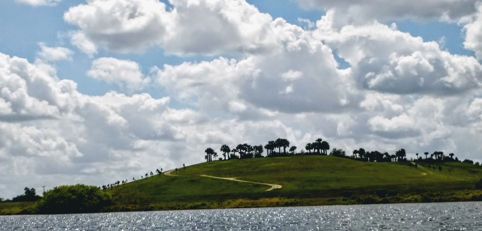 Some of those who protected the Celery Fields