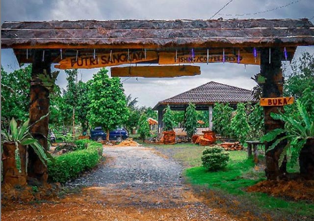 Putri Sangkaya, Tempat Ngopi, Wisata Mancing dan Kuliner Terkece di Martapura Memadukan konsep pemancingan, wisata alam, cafe dan kuliner khas Banjar, Putri Sangkaya adalah tempat paling recomended untuk mereka yang ingin mendapatkan semua pengalaman wisata dan traveling paling berkesan.