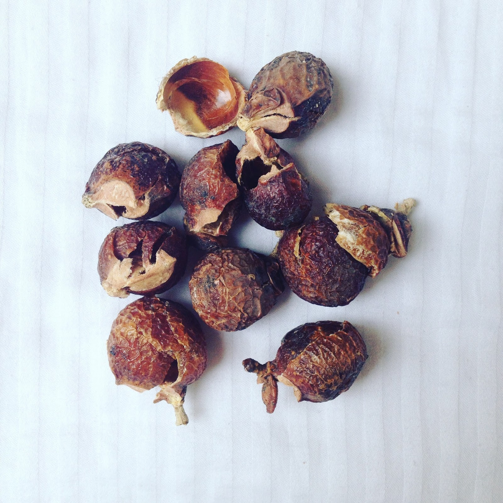 Soap nuts ? Do they work? Ethical Bunny