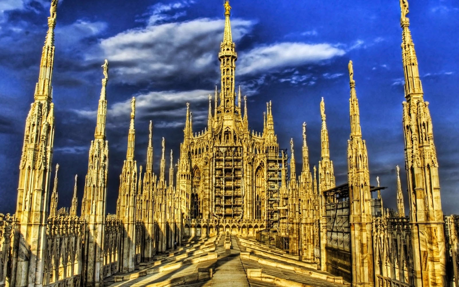 Nature S Cathedral Nature S Cathedral