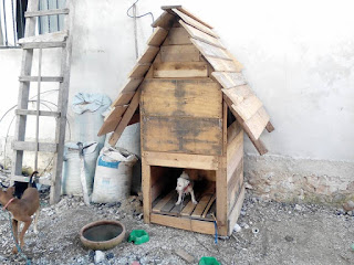 Cucha para perro hecha con palets reciclados