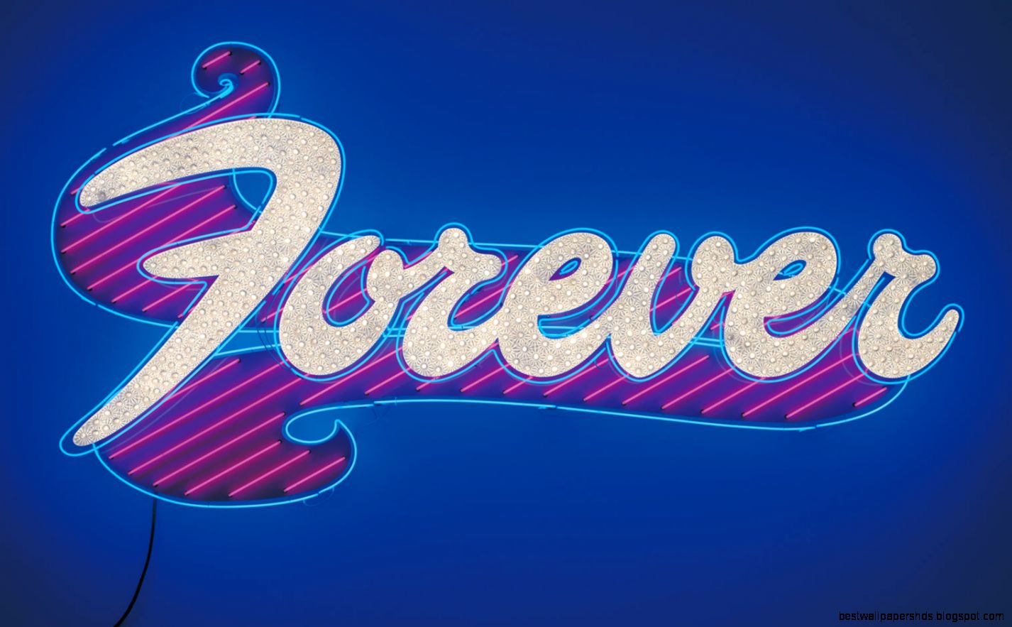 Tim Noble amp Sue Webster – Forever 2001