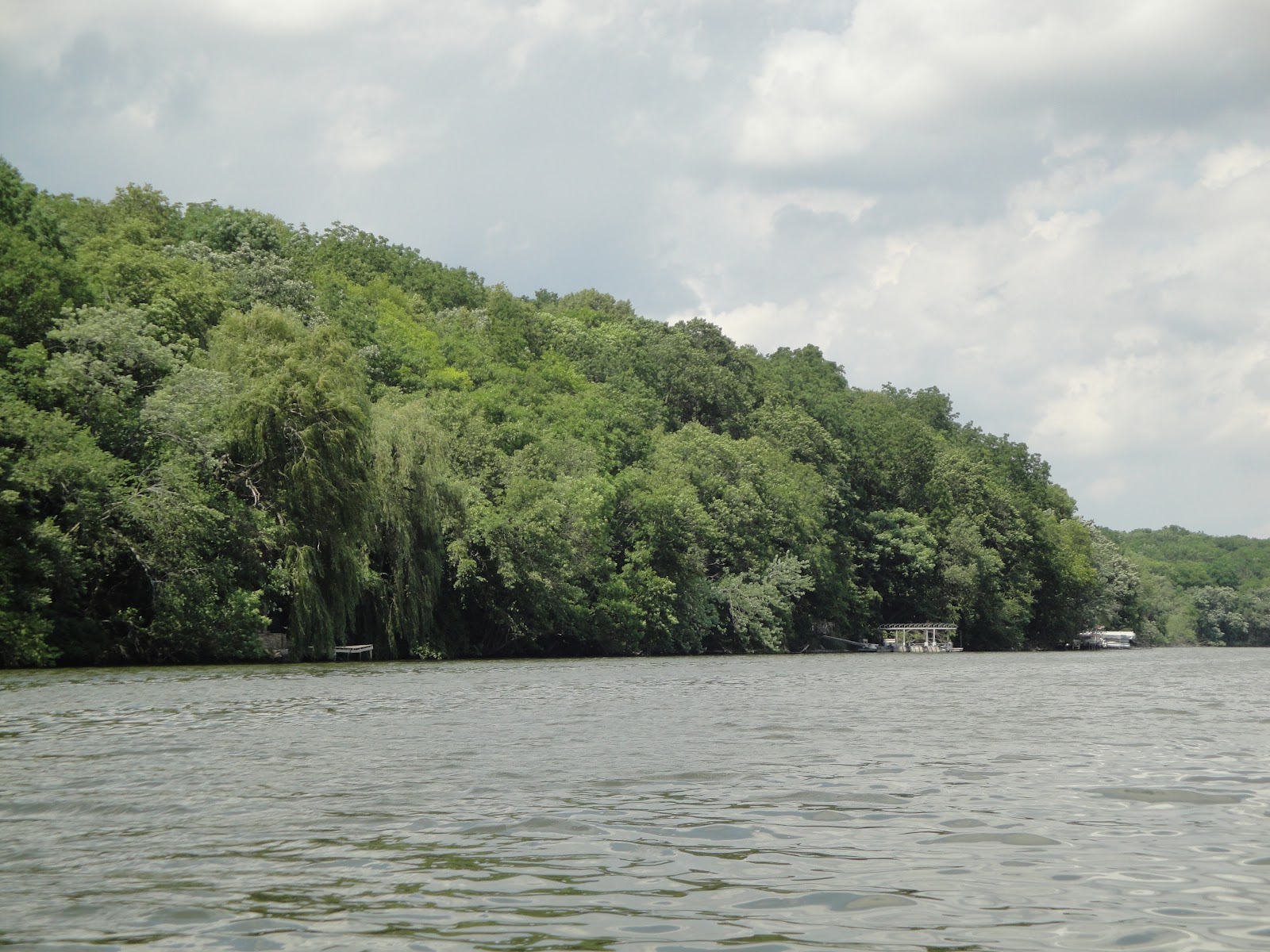 Musings from America's Dairyland Lake Koshkonong