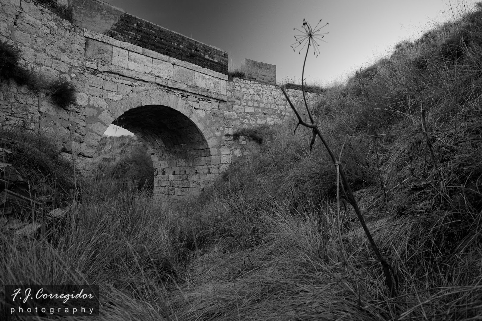 PUENTE-OLVIDADO-GURUGU-161030-018-Editar.jpg