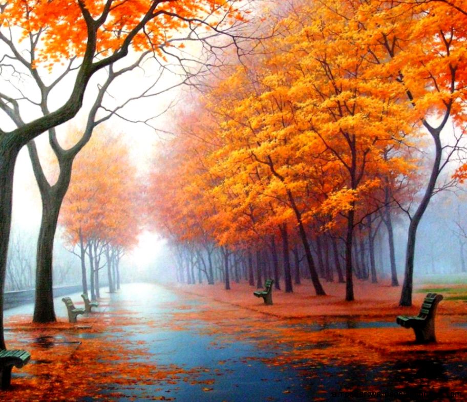 Facebook Cover Photos Nature 3d